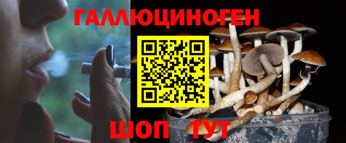 Псилоцибиновые грибы Magic Shrooms  купить   Вход с VPN  Карачаевск  Галлюциногенные грибы мухоморы 
